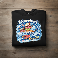 Load image into Gallery viewer, Blizzard of '26 Hoodie with Cape Cod - All-Day Comfort Hoodie